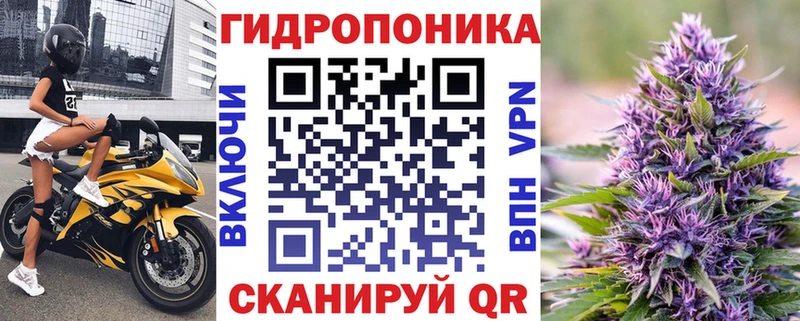 Магазин наркотиков Рудня Кодеин  Меф  ГАШ 