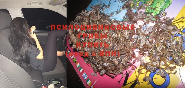 гашиш Новозыбков