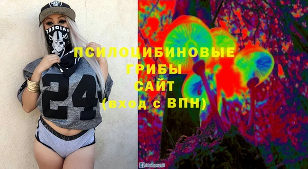 метадон Новодвинск