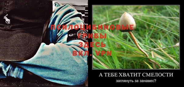 метадон Новодвинск