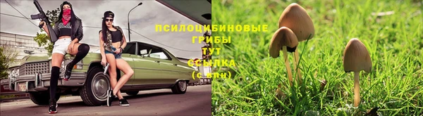 метадон Новодвинск