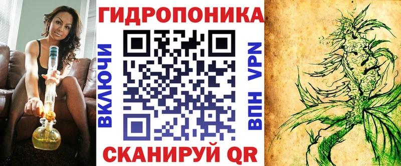 Конопля гибрид Рудня
